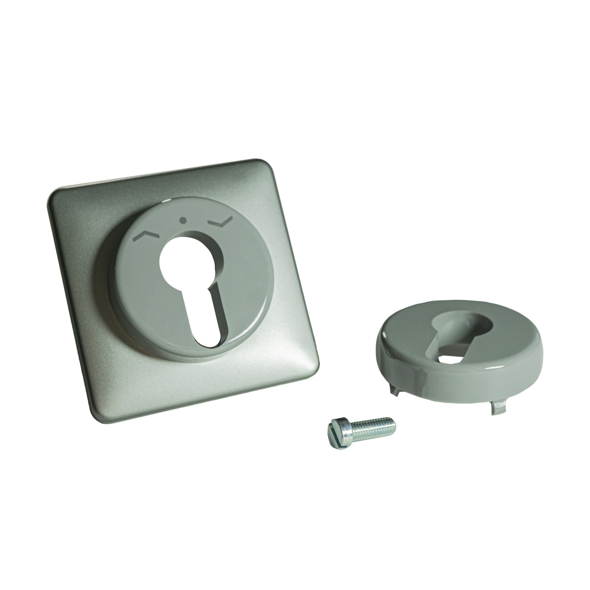 Jung Abdeckung für Schlüsselschalter - shop.htgroup