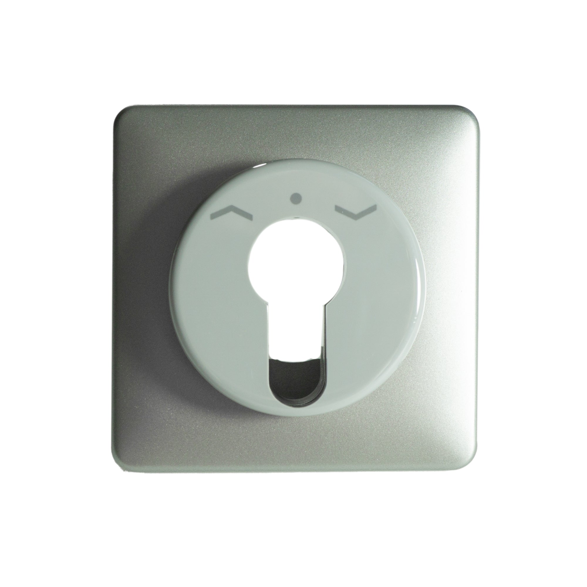 Jung Abdeckung für Schlüsselschalter - shop.htgroup