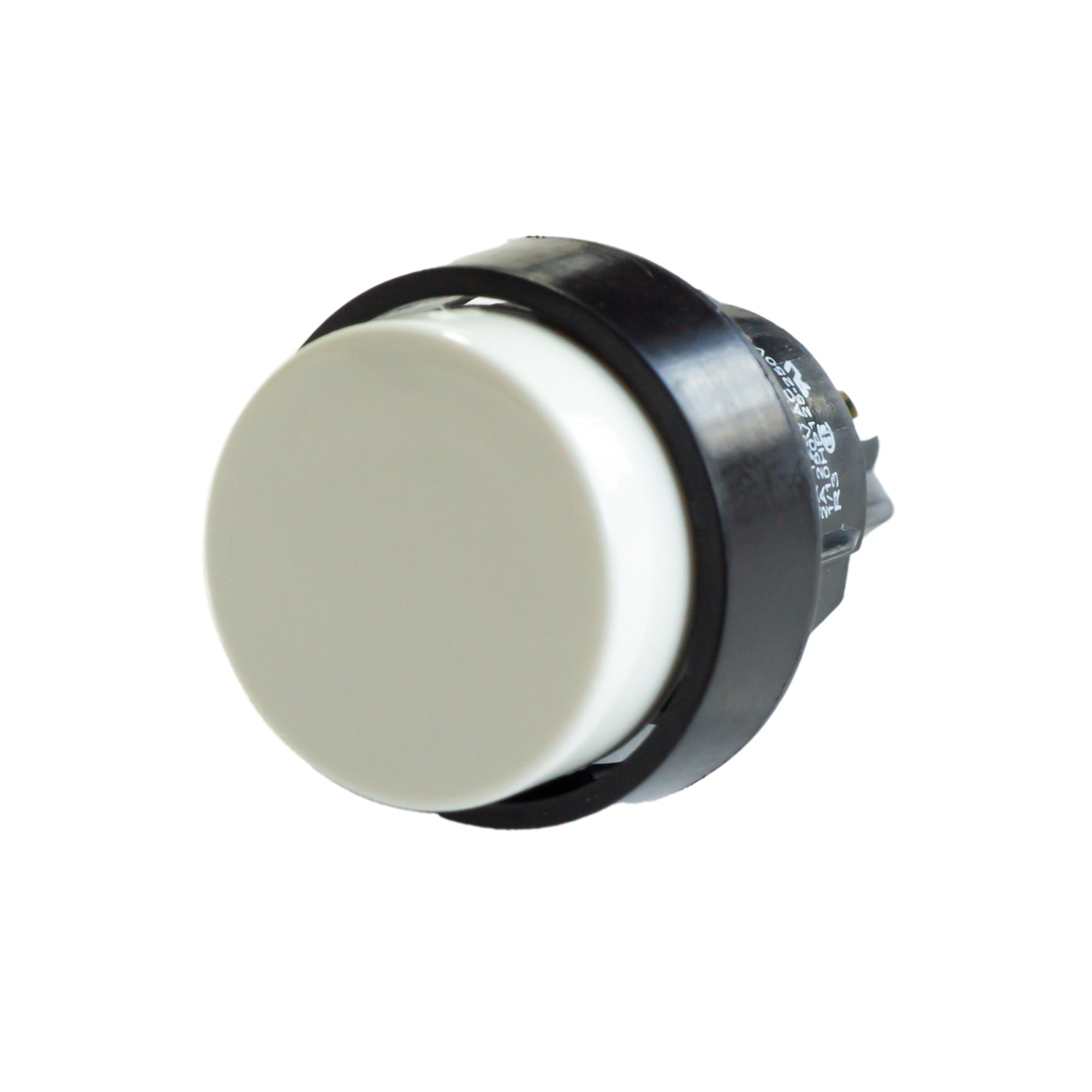 Marquardt Kunststofftaster Weiß 16 mm - shop.htgroup